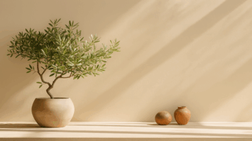 Cómo cuidar un olivo en maceta para que crezca fuerte y dé frutos