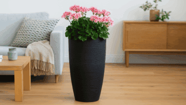 Así puedes llenar tus macetas altas con menos tierra y más ahorro