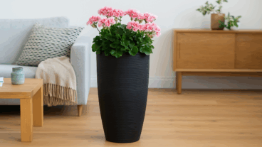 Así puedes llenar tus macetas altas con menos tierra y más ahorro