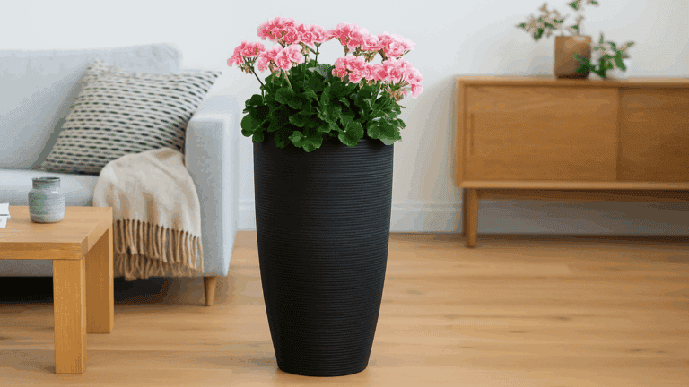 Así puedes llenar tus macetas altas con menos tierra y más ahorro