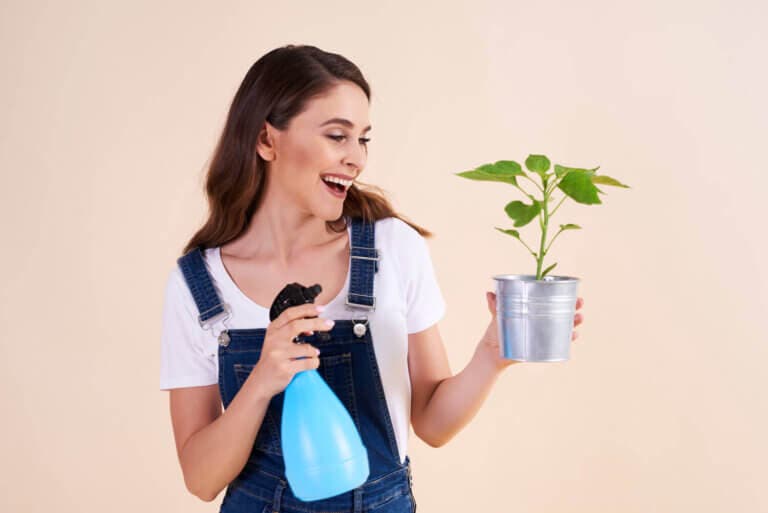 Abono casero con agua de arroz: cómo hacerlo y cuándo usarlo