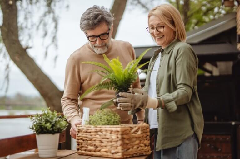 ¡No a la monotonía en pareja! 5 actividades que rompen la rutina después de los 50 años