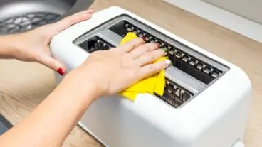 Los 7 focos de suciedad que atraen cucarachas a tu cocina (y cómo eliminarlos)