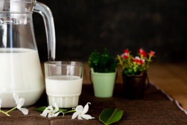 ¿Deberías regar tus plantas con leche? Esto dice la ciencia