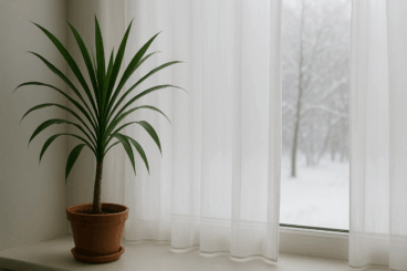 Los 6 cuidados para que tus plantas de interior no mueran en invierno