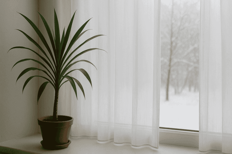 Los 6 cuidados para que tus plantas de interior no mueran en invierno