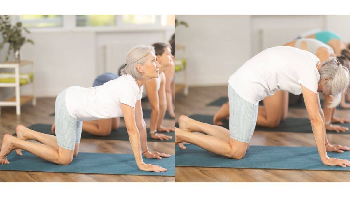 Postura de estiramiento gato-vaca