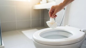 ¿Se puede arrojar el papel higiénico al váter? Solo en estos casos