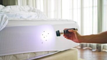 Chinches en la cama: 5 señales que confirman su presencia antes de verlas