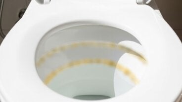 Línea marrón de sarro en el inodoro: cómo quitarla sin rayar la porcelana
