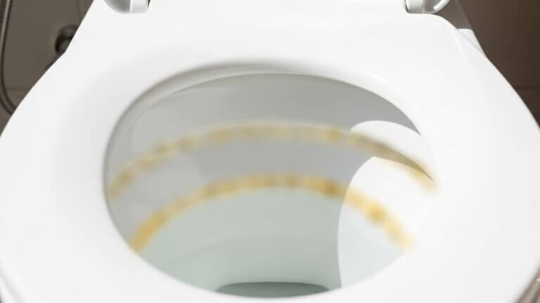 Línea marrón de sarro en el inodoro: cómo quitarla sin rayar la porcelana