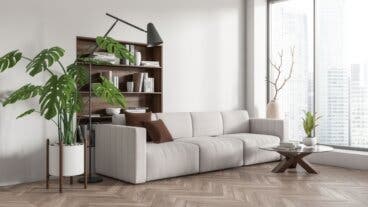 5 plantas grandes para salón que dan efecto "wow" a tus invitados