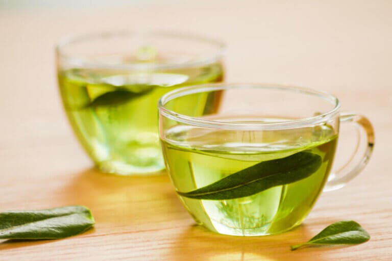 ¿Qué efectos tiene tomar té verde por las mañanas? (y cuándo es mejor evitarlo)