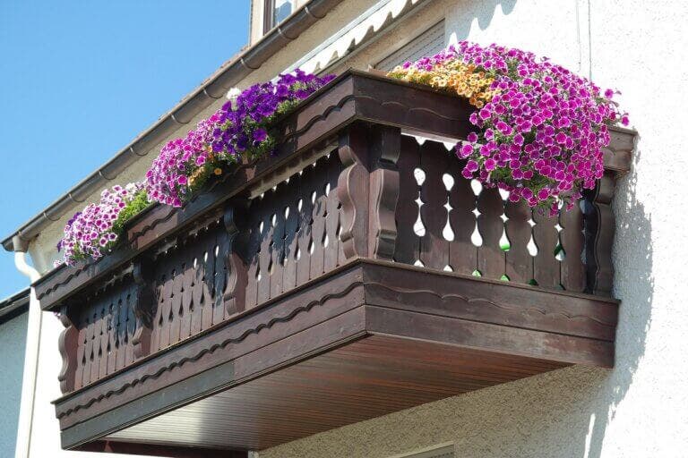 ¿Tienes un balcón soleado? Mira 7 plantas que disfrutan del sol continuo