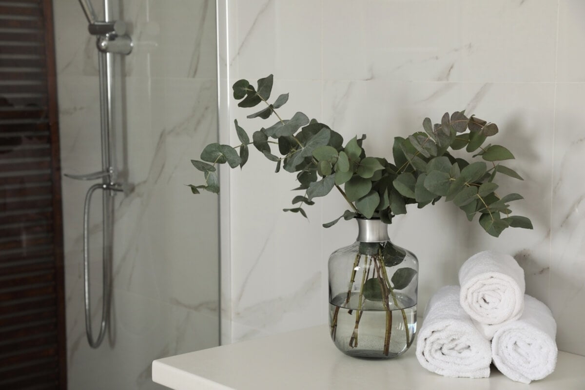 Ramas de eucalipto en el baño