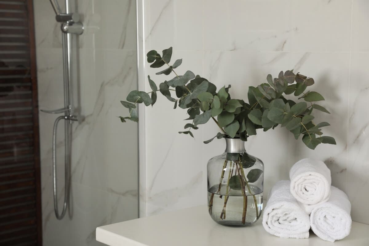 Ramas de eucalipto en el baño