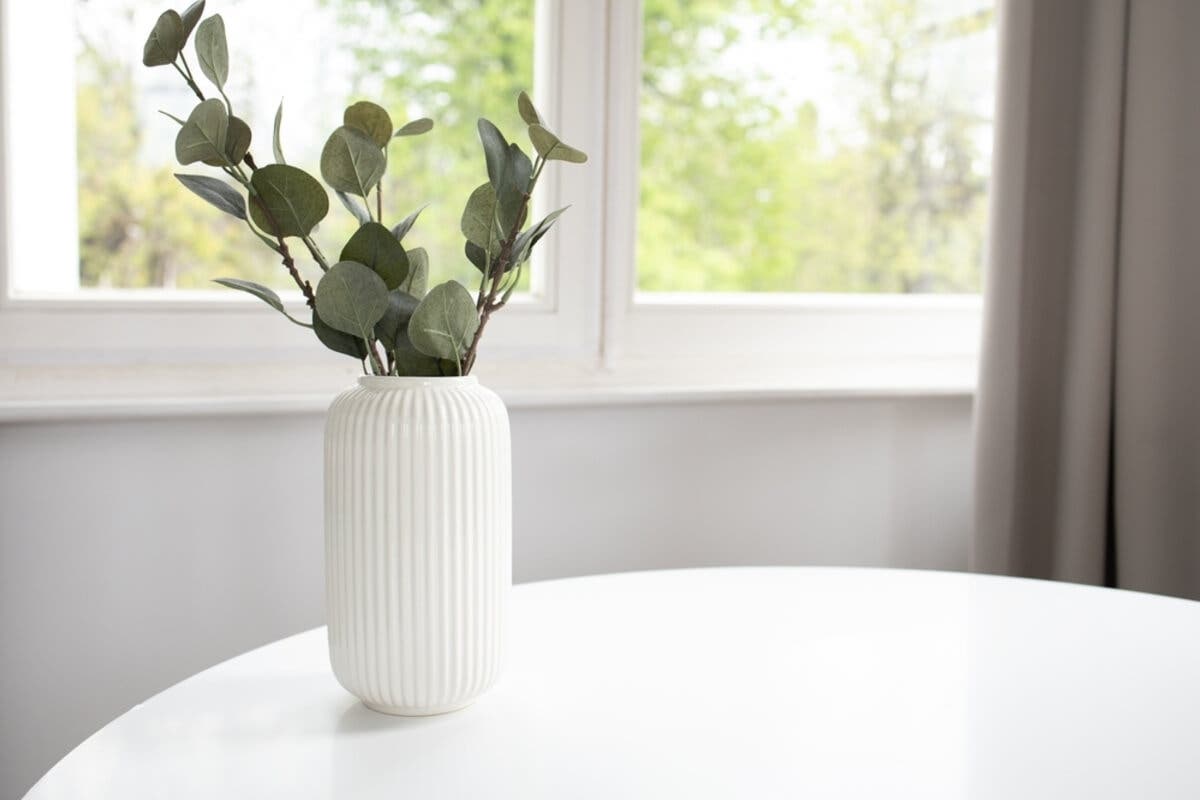Florero con eucalipto cerca de una ventana