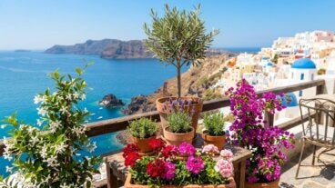 Cómo montar un rincón mediterráneo en casa: 7 plantas icónicas de la región