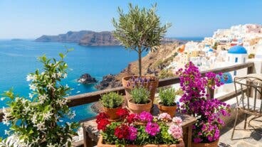 Cómo montar un rincón mediterráneo en casa: 7 plantas icónicas de la región