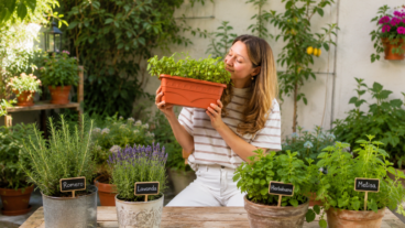 Jardín aromático en macetas: 6 plantas para crear una pausa de calma en casa