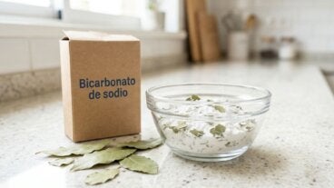 Laurel con bicarbonato: cómo usarlo para desodorizar tus ambientes