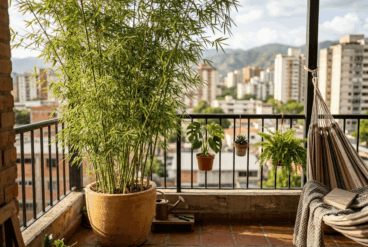7 plantas altas y resistentes para ganar privacidad en balcones sin cerrar la luz
