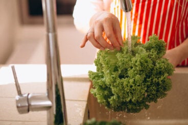 Cómo lavar la lechuga: 6 pasos para reducir bacterias y evitar la contaminación cruzada