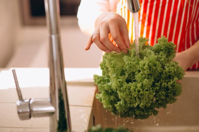 Cómo lavar la lechuga: 6 pasos para reducir bacterias y evitar la contaminación cruzada