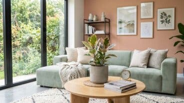 4 plantas variegadas para llenar de vida una habitación luminosa sin sol directo
