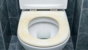 Cómo blanquear la tapa amarilla del inodoro con lo que tienes en casa (antes de comprar una nueva)