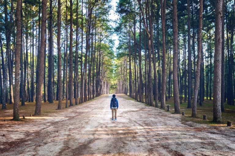 Cuando todo pierde su valor: "Hay quien cruza el bosque y solo ve leña para el fuego"