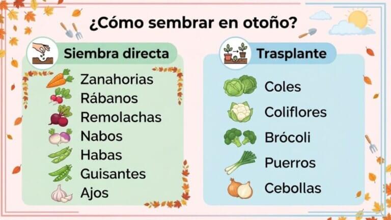 ¿Cómo sembrar en otoño?