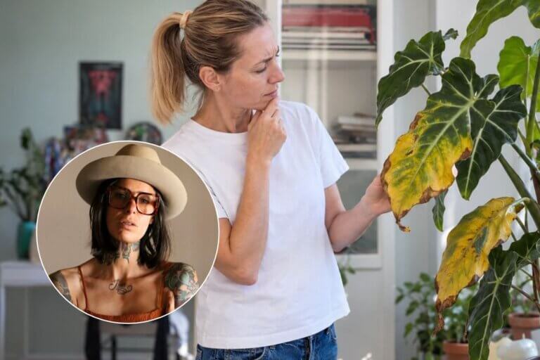 ¿Estás empezando con las plantas? Nena Plants Flow, experta, explica cuáles 5 no elegiría
